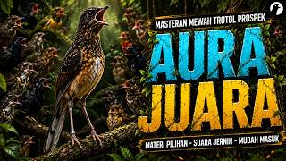 Download lagu MASTERAN MURAI BATU MATERI PILIHAN FULL TEMBAKAN KASAR DAN RAPAT COCOK UNTUK TROTOL DAN PASTOL mp3 Download lagu MASTERAN MURAI BATU MATERI PILIHAN FULL TEMBAKAN KASAR DAN RAPAT COCOK UNTUK TROTOL DAN PASTOL mp3