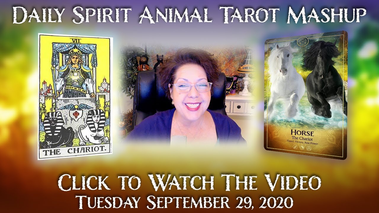 Pick A Card Daily Tarot Reading - Tues. Sept. 29, 2020 - HORSE AND THE CHARIOT