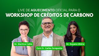 Novo Mercado de Carbono Brasileiro: O que sua empresa precisa fazer agora com a nova Lei 15.042