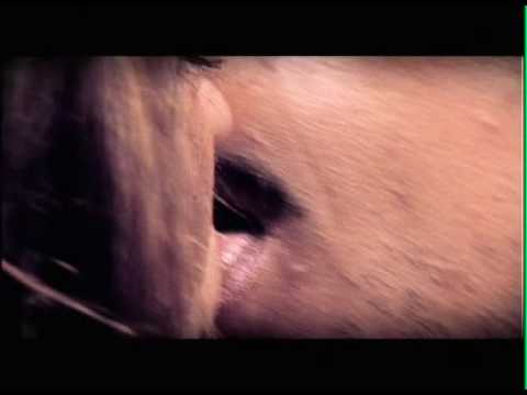 Stereo Addiction´s new video HUMAN making of