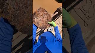 Quantos anos tem essa pá?