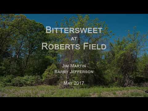 Bittersweet at Roberts Field