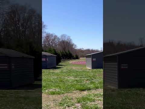 The New Psychic from Elevation Discs is pretty beefy #discgolf ...