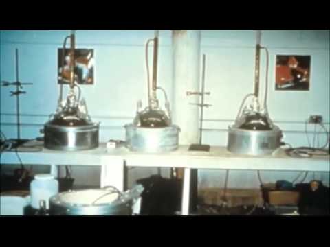 download lagu mp3 mp4 One Pot Lab, download lagu One Pot Lab gratis, unduh video klip One Pot Lab