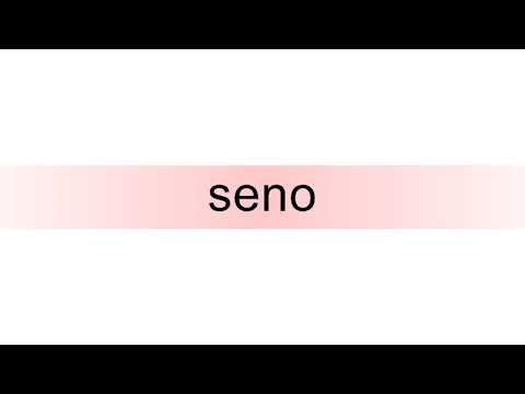 How to pronounce seno