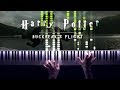 John Williams - Buckbeak's Flight [INSANE Piano Solo!]