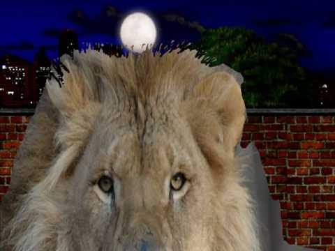 Madagascar Real Life Speedpainting Collage (Alex on the Spot Remix)