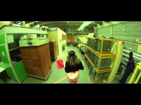 Lipdub - Pierre Mendes France RENNES