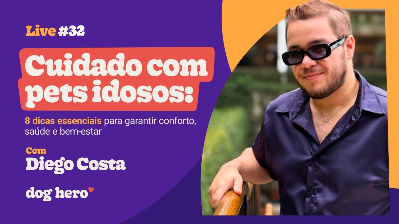 Cuidado com pets idosos: 8 dicas essenciais para garantir conforto, saúde e bem-estar | Live 32