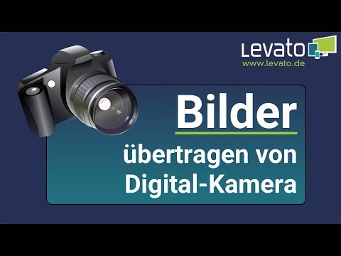 Das Virusekzem als zu behandeln Das trockene Ekzem zwischen der Finger auf den Händen
