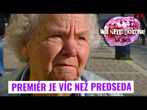 Jaký je rozdíl mezi premiérem a předsedou vlády? (Nikdo není dokonalý)