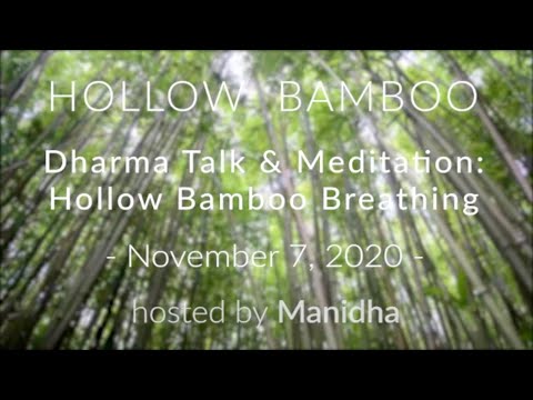 Hollow Bamboo Dharma Talk & Meditation with Will Johnson Hollow Bamboo Breathing
