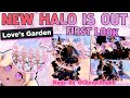 NEW DIVINE ADORATION HALO FIRST LOOK! Royale High Roblox Everfriend Halo Update 2024