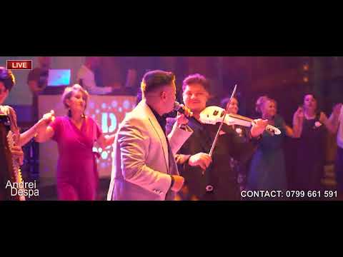 Andrei Despa LIVE ❌ MOARA CU NOROC ( cover Viorica de la Clejani )