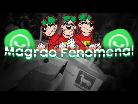 Magrao Fenomenal Para Status Funk Do Wpp