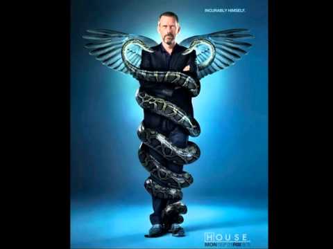 House Md Soundtrack - (Massive attack- tear drop) theme song
