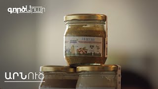 ԳործԱրար. Արնուշ