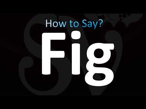How to Pronounce Fig (CORRECTLY!)