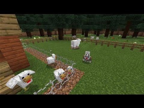 Team Gamers - Gray Wolves, Minecraft education edition