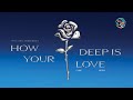 Prince Royce How Deep Is Your Love Official Lyric Video