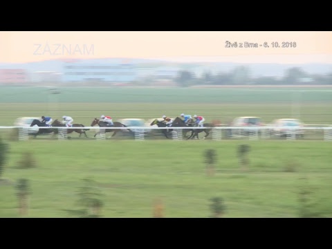 Jockey Club ČR Live Stream