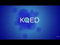 KQED 2014