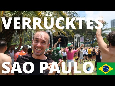 SAO PAULO BRASILIEN - IBIRAPUERA PARK - VERRÜCKTER ORT