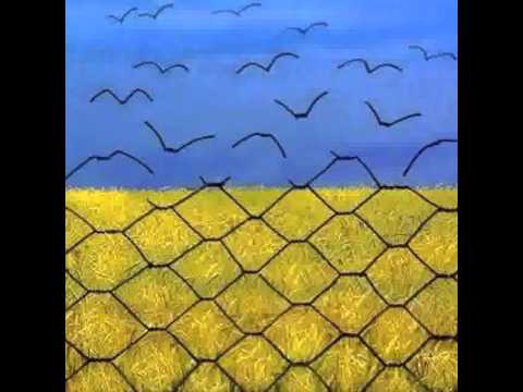 Крішталеви чаши -- Mad Heads XL