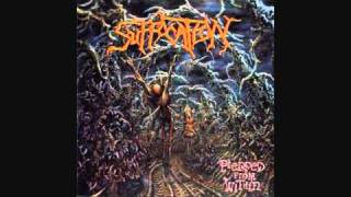 Synthetically Revived (HQ)