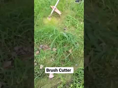 brush cutter machine 😍 ( weed control ).