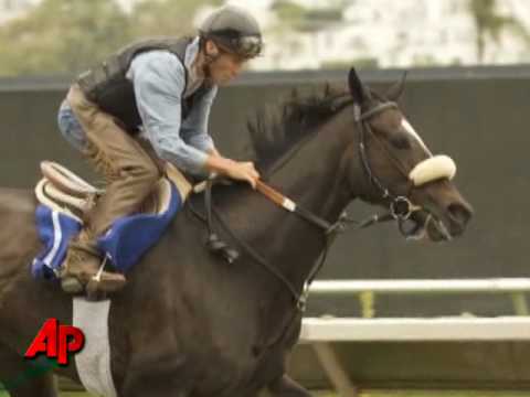 Rachel Alexandra Vs. Zenyatta in $5 Million Race