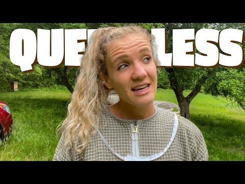 No Queen or Brood.. What To Do?? Beekeeping 101 #beekeeping