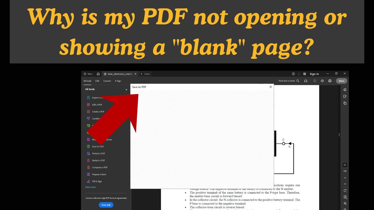 Why is my PDF not opening or showing a 