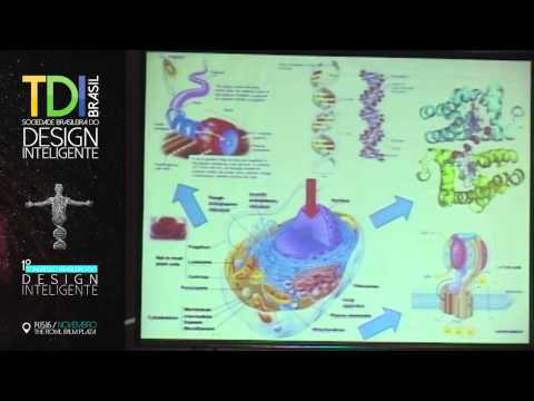 PALESTRA MARCOS N  EBERLIN