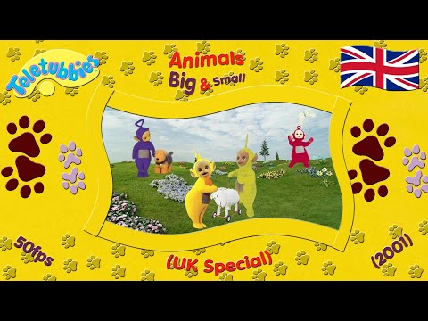 Teletubbies: Animals Big & Small (2001 - UK) • 50p