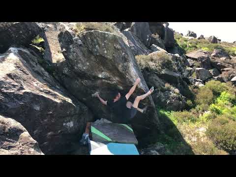 An amalgamation of emotion 8a