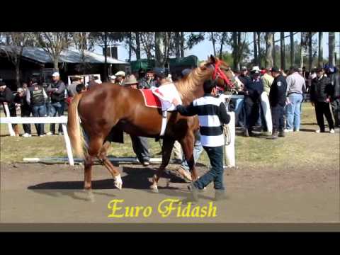 Estampa Fidash - Tercera Clasificacion, Curuzu Cuatia (29-07-12)