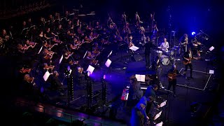 The Cat Empire - Doing Fine (Live at Sydney Opera House) (Official Live Video)