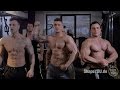 Bodybuilding Motivation - TEAM ShapeYOU