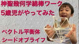 神聖幾何学綿棒ワーク 5歳児がやってみた シードオブライフ ベクトル平衡体 オンライン綿棒ワークショップ 立体神聖幾何学 夏休み自由研究 工作 stayhome