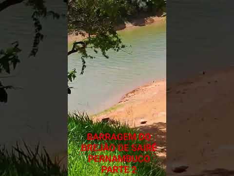 BARRAGEM DO BREJÂO DE SAIRÉ PERNAMBUCO PARTE 2