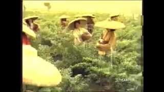 Download lagu Iklan Indomie tahun 1993 mp3 Download lagu Iklan Indomie tahun 1993 mp3