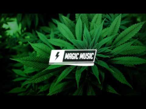 DJ Shark   Fyah feat  Naza Brothers & Mr Shammi