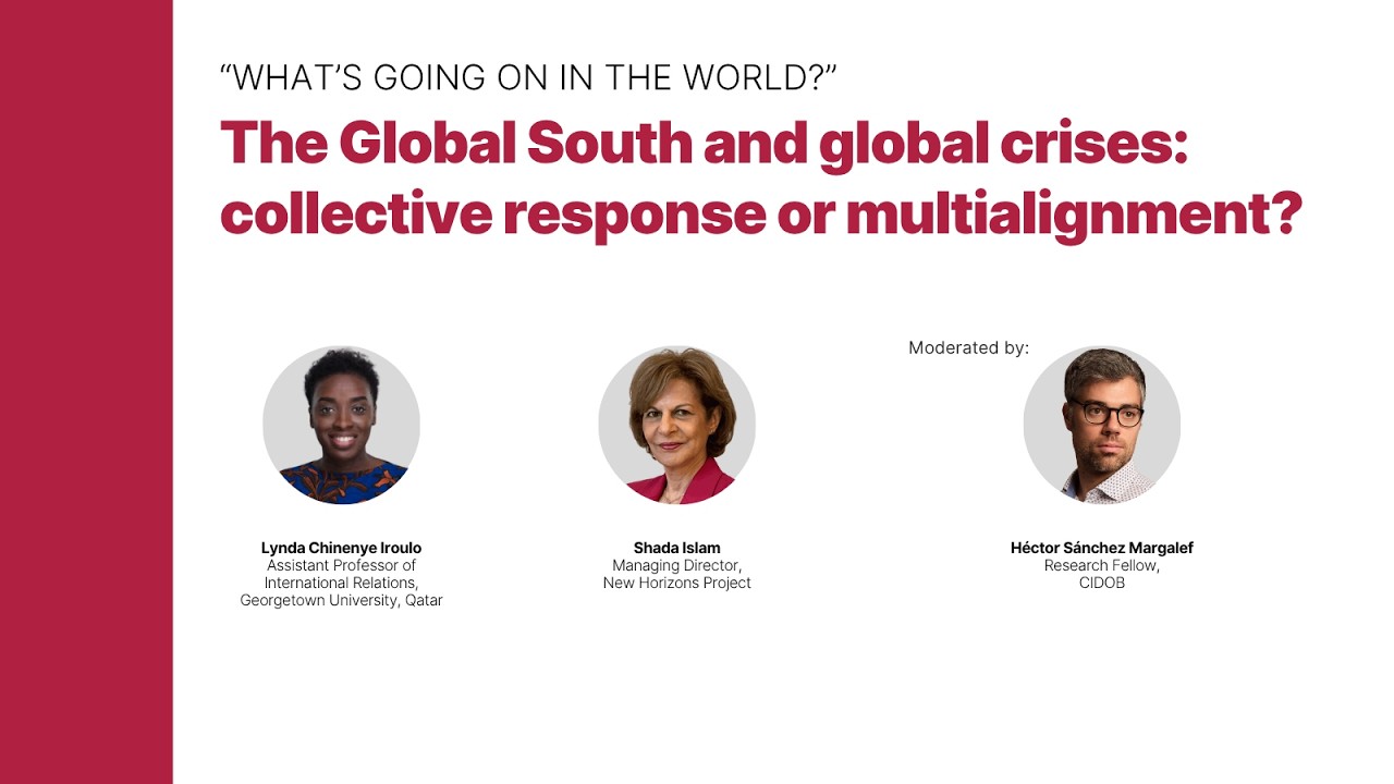 "What’s going on in the world?" Global South & global crises: collective response or multialignment?