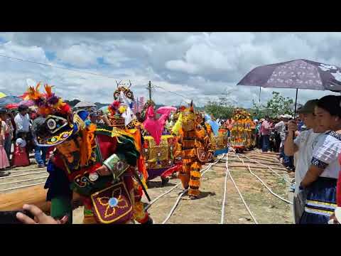 Ritual del palo encebado San Luis Petén/ Feria Patrona San Luis Petén 2025