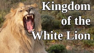 Kingdom Of The White Lion: A Man and His Passion for Wild Animals