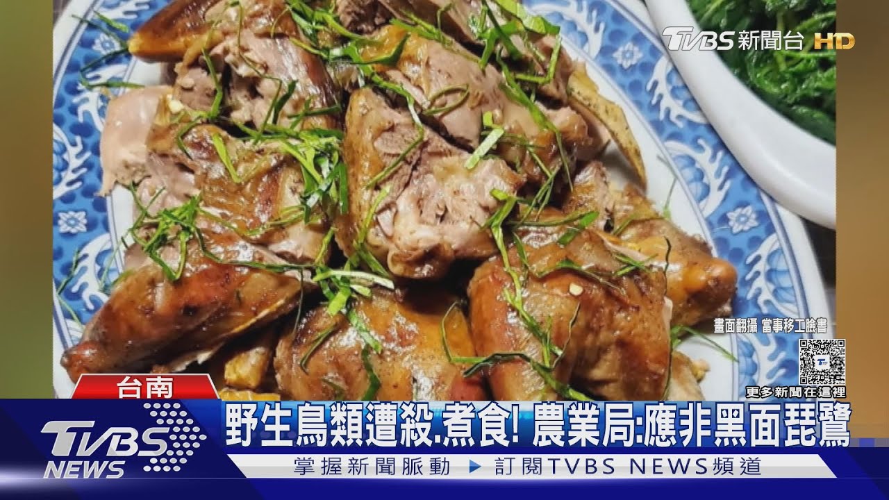 越籍移工疑「獵殺烹煮黑面琵鷺」！　本人澄清：越南朋友拍的