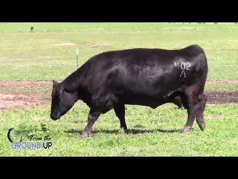 From the Ground Up Lot 31