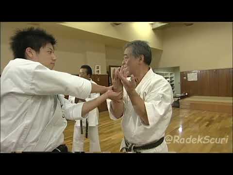 Suparinpei _ secret techniques (English translation)_ Yoshio Kuba_ Goju ryu Karate
