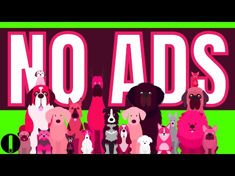 DEEP SEPARATION ANXIETY MUSIC FOR DOG RELAXATION (NO ADS)